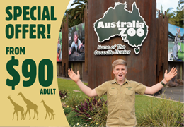 australia zoo